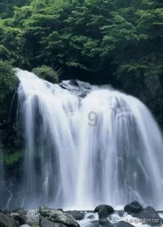 射击红色鸟